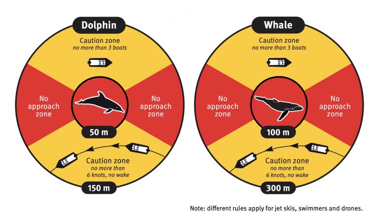 Jet Ski distance rules for whales and dolphins along east-coast Australia